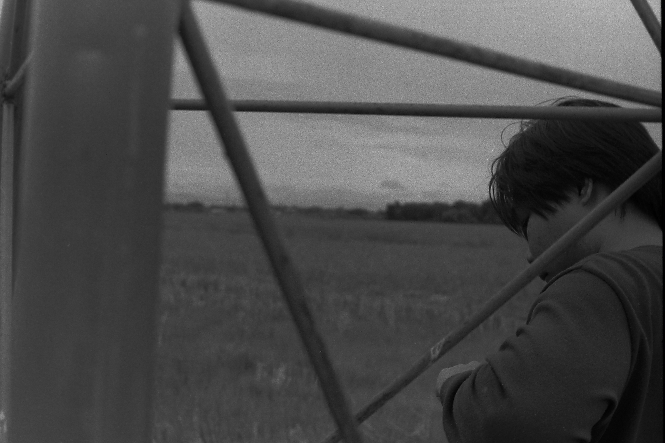 my beautiful picture