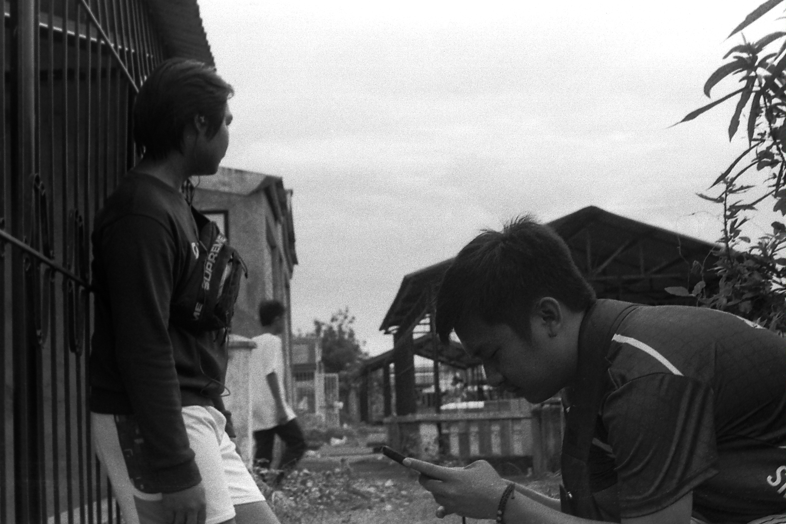 my beautiful picture